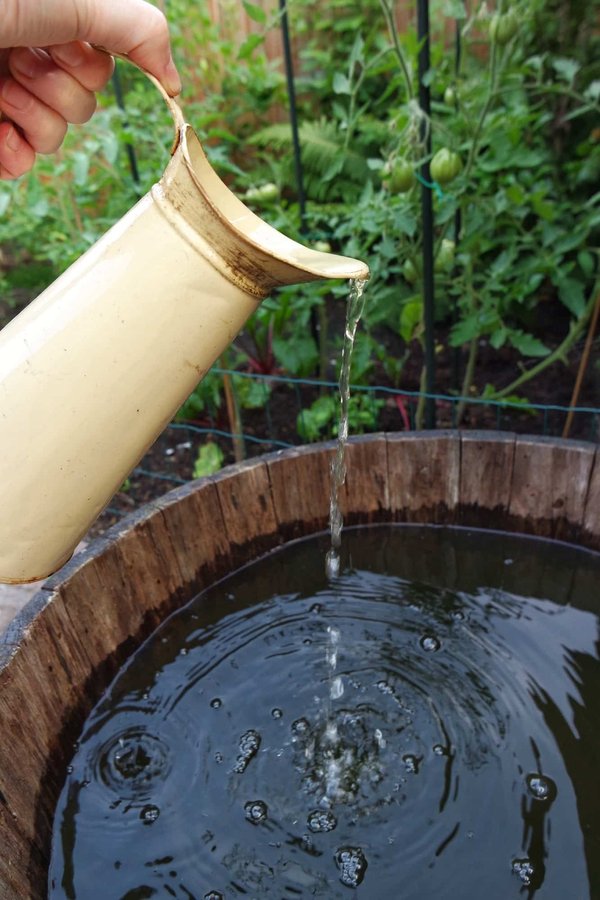 How to Create a DIY Rainwater Collection System for a Small Urban Home?